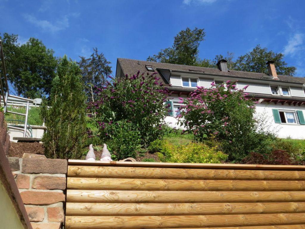 Ferienwohnung Am Kapellenberg - Am Rande Des Nationalparks Schwarzwald Bad Peterstal-Griesbach Buitenkant foto