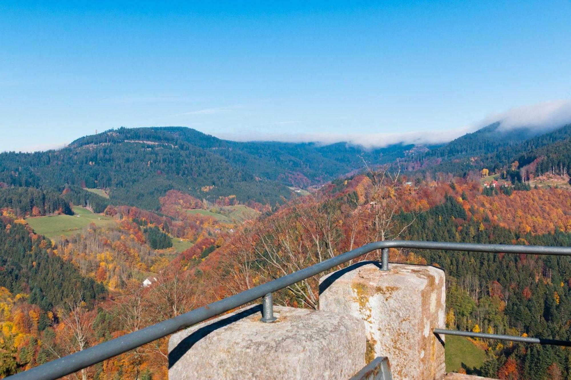 Ferienwohnung Am Kapellenberg - Am Rande Des Nationalparks Schwarzwald Bad Peterstal-Griesbach Buitenkant foto