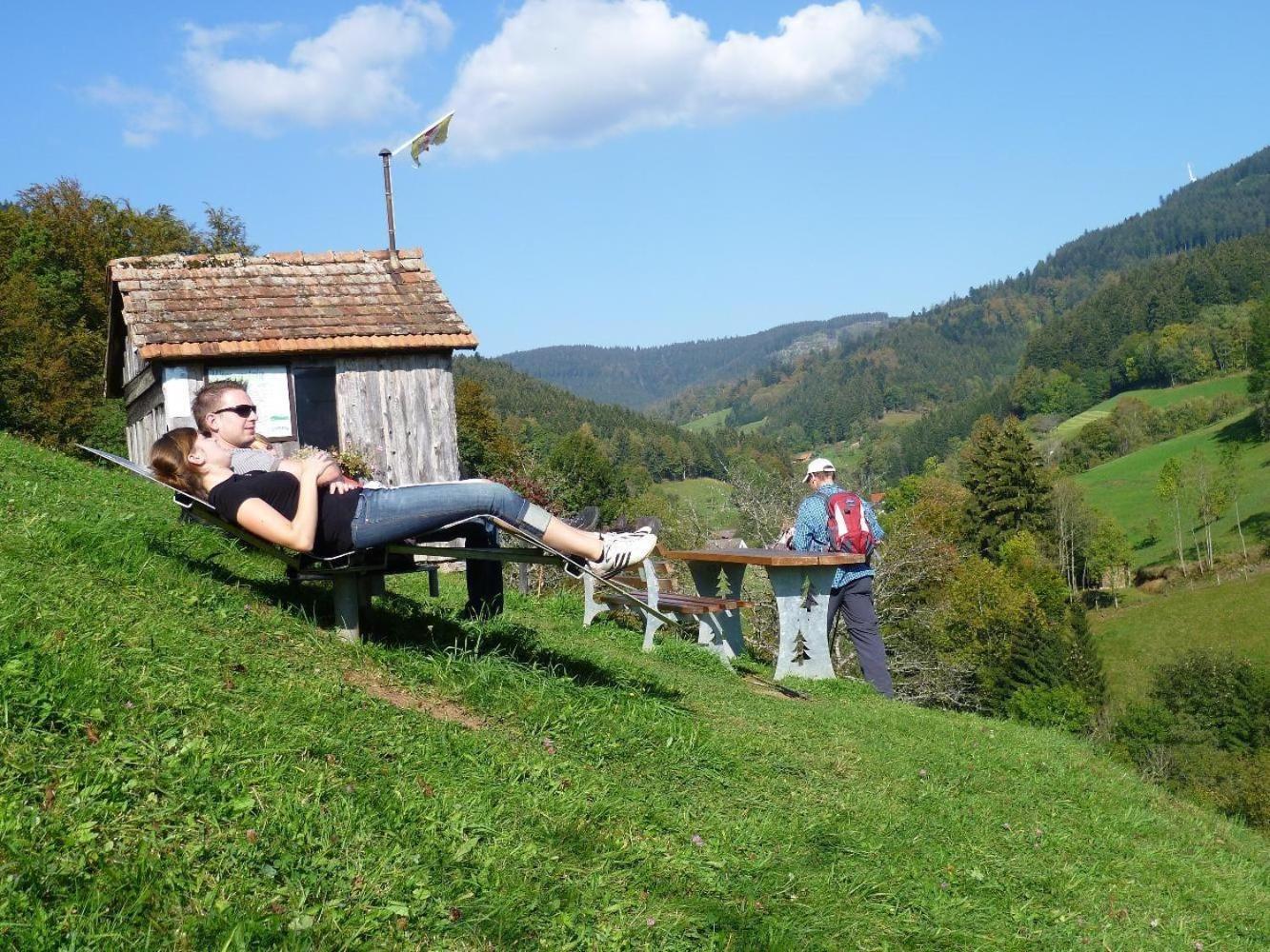 Ferienwohnung Am Kapellenberg - Am Rande Des Nationalparks Schwarzwald Bad Peterstal-Griesbach Buitenkant foto