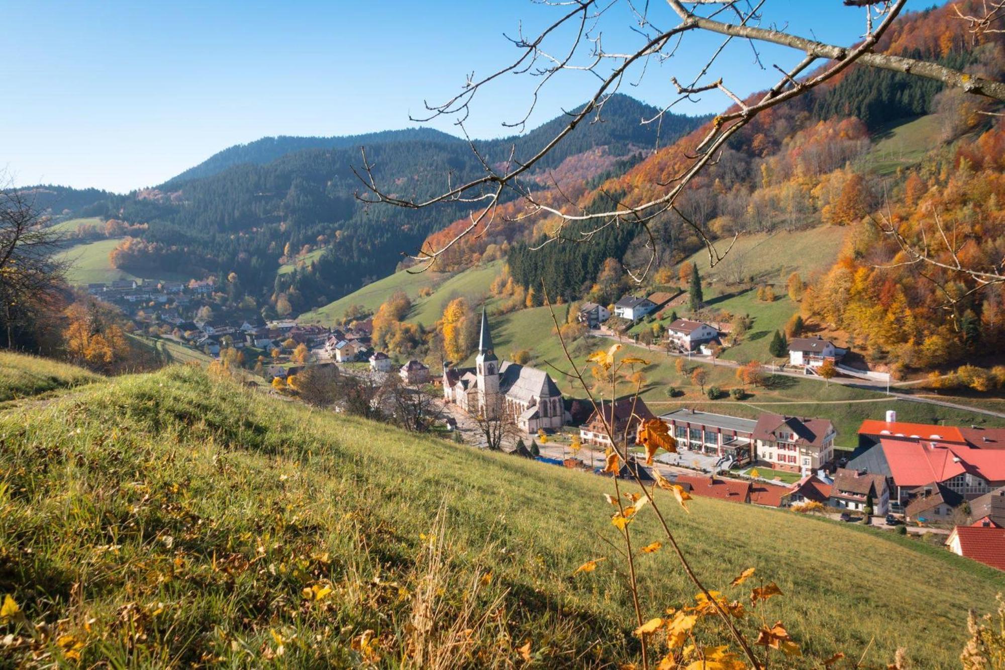 Ferienwohnung Am Kapellenberg - Am Rande Des Nationalparks Schwarzwald Bad Peterstal-Griesbach Buitenkant foto
