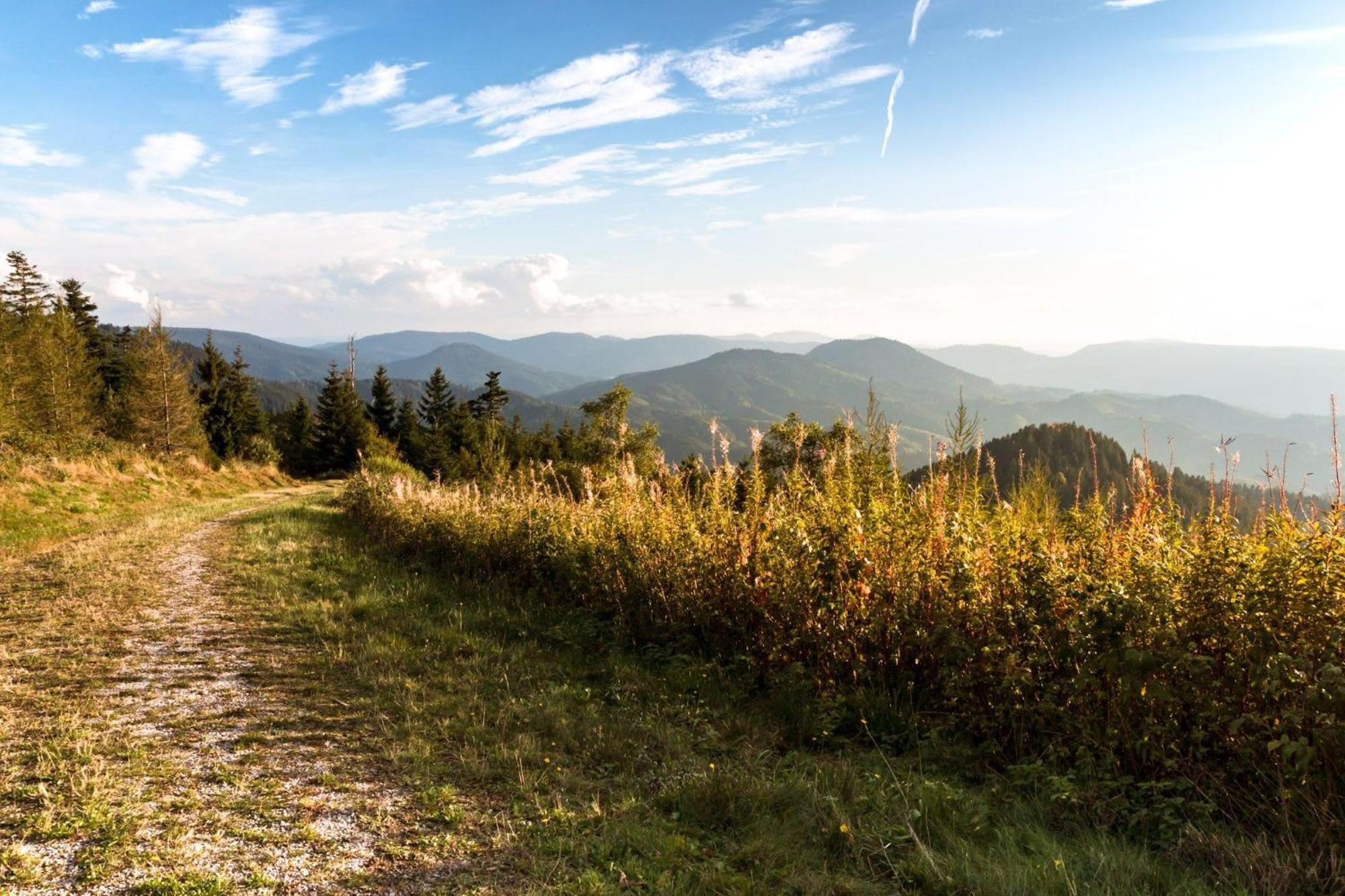 Ferienwohnung Am Kapellenberg - Am Rande Des Nationalparks Schwarzwald Bad Peterstal-Griesbach Buitenkant foto